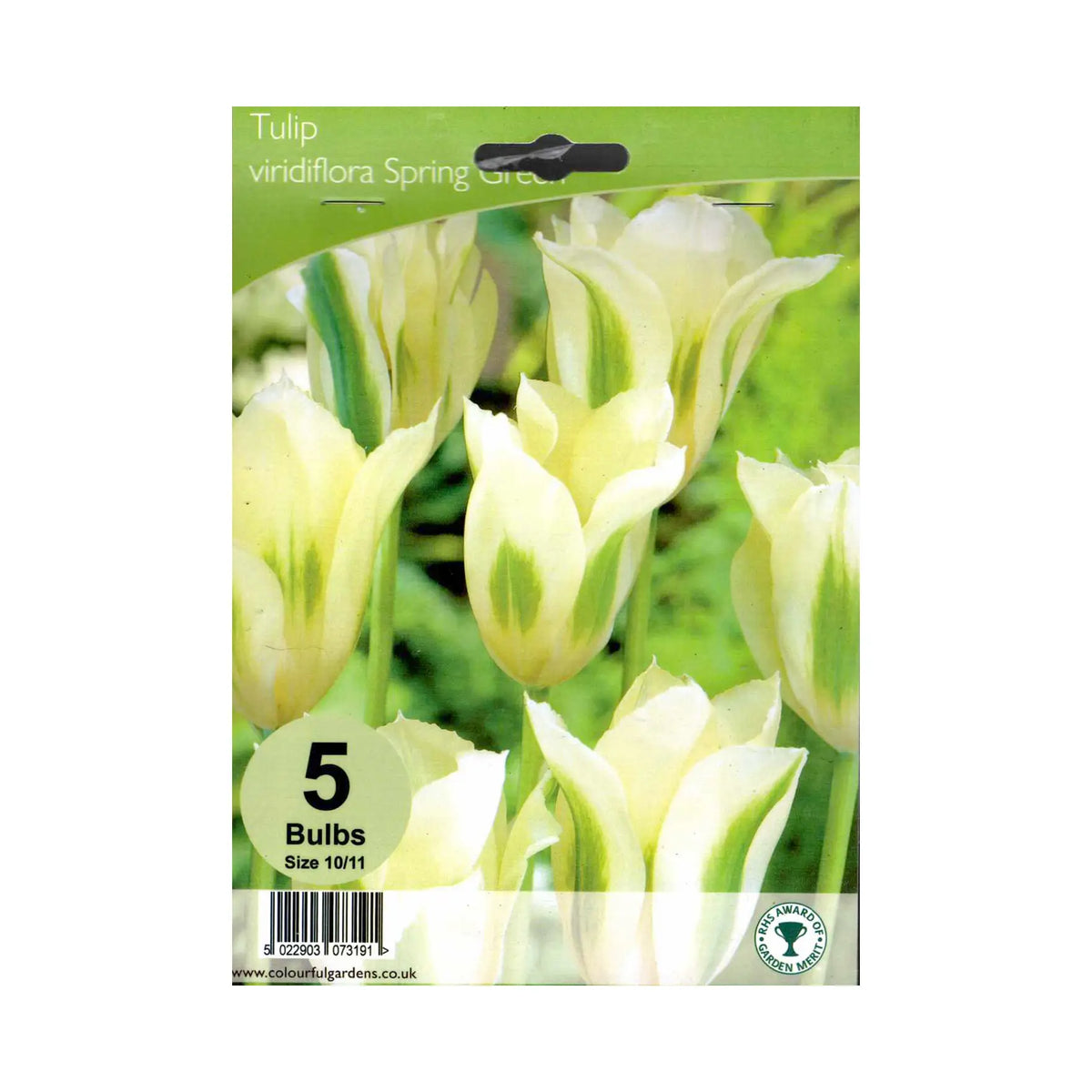 Tulipa 'Spring Green'