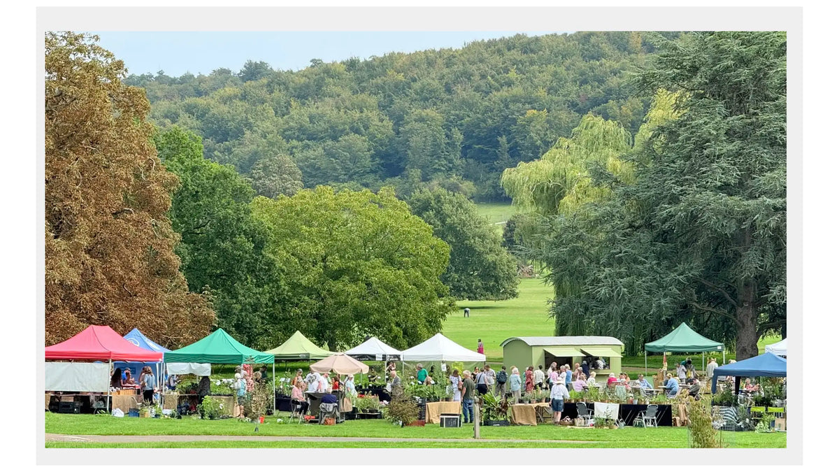 West Dean Gardens Autumn Plant Fair