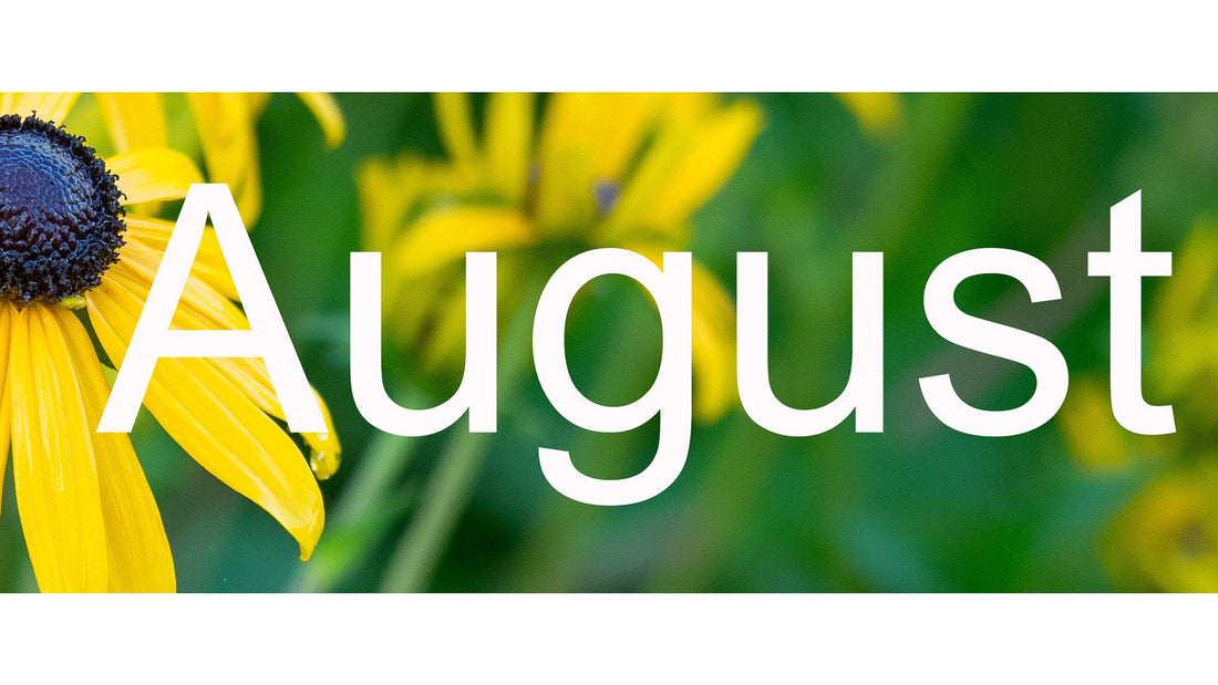 Flower Shows & Plant Fairs August 2026
