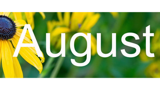 Flower Shows & Plant Fairs August 2026