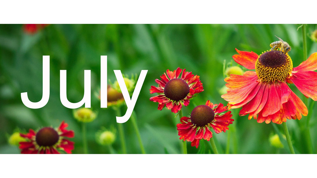 Flower Shows & Plant Fairs - July 2026