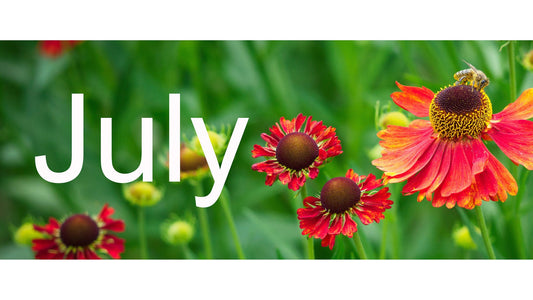 Flower Shows & Plant Fairs - July 2026