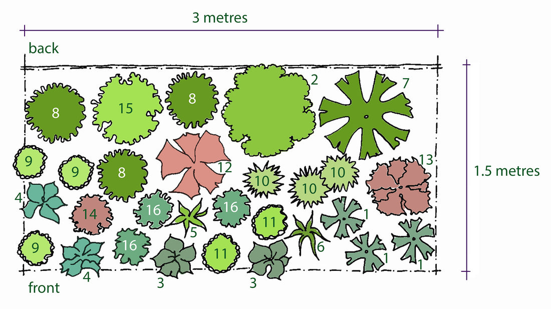 Rosy's Planting Plan for a Border with Moisture Retentive Soil