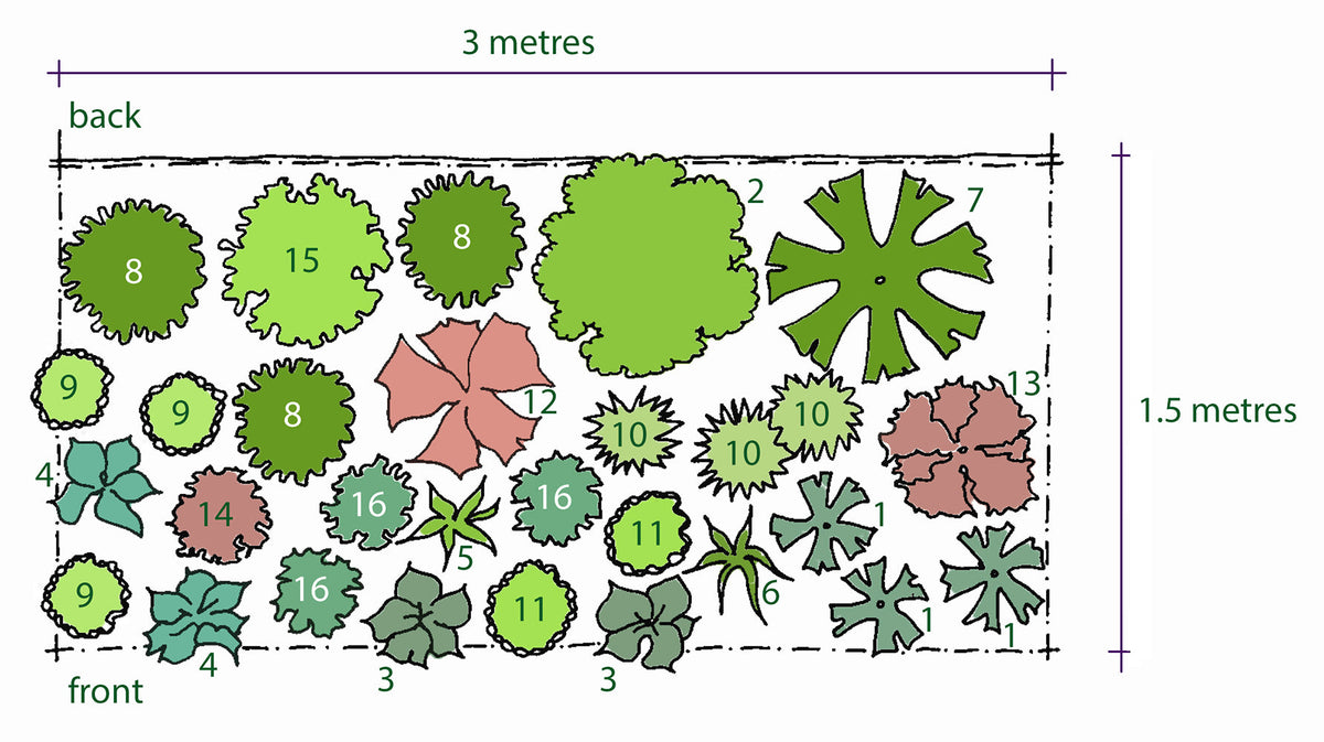 Rosy's Planting Plan for a Border with Moisture Retentive Soil