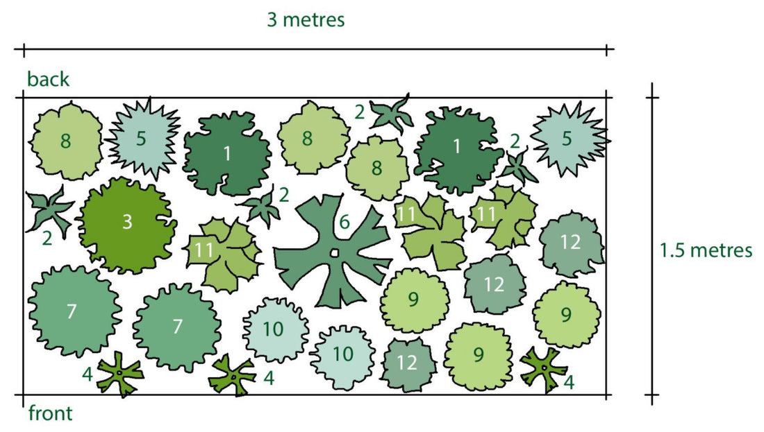 Rosy's Plan for a White Border - with silvers and greens - Sun or Part Shade