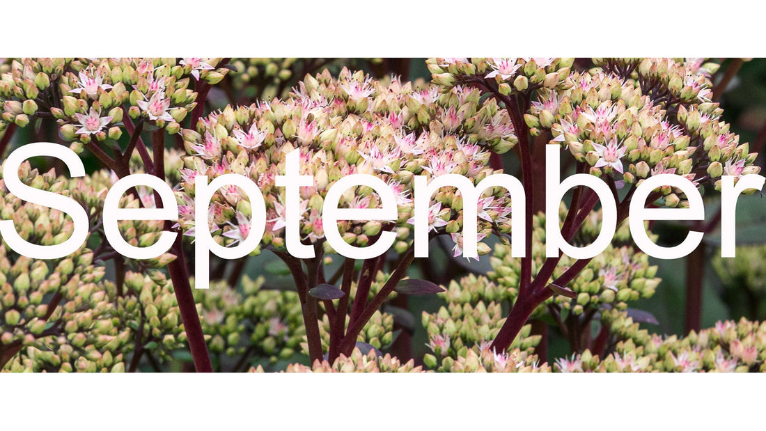 Flower Shows & Plant Fairs - September 2026