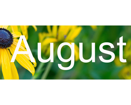 Flower Shows & Plant Fairs August 2026