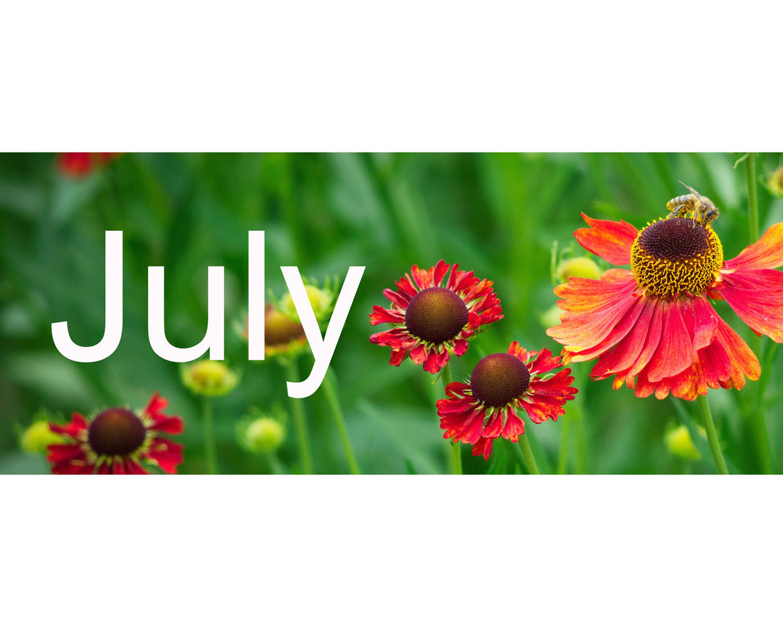Flower Shows & Plant Fairs - July 2026