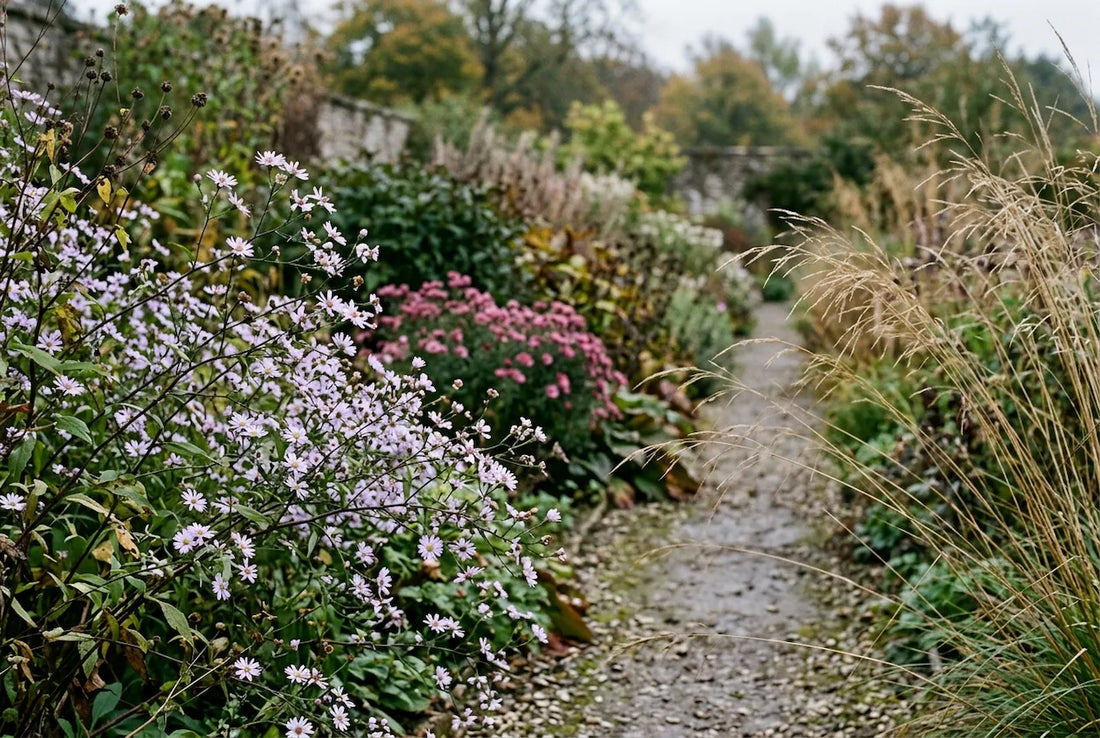 What’s flowering in late October and early November?