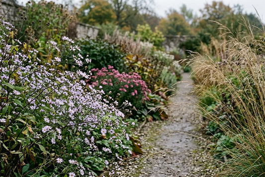 What’s flowering in late October and early November?