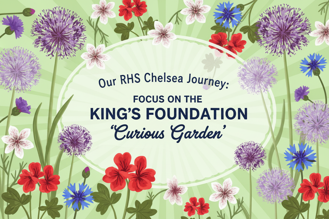 Illustrated banner for Hardy's RHS Chelsea Journey 2026 – Focus on the King's Foundation 'Curious Garden', featuring allium and cottage garden flower illustrations