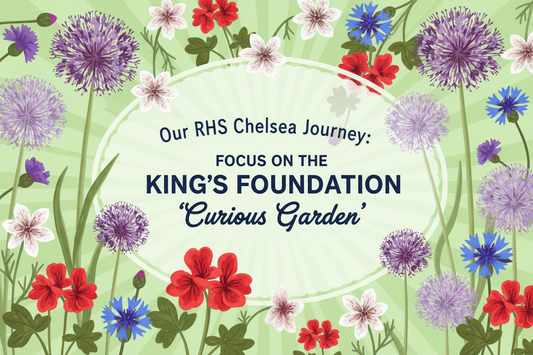 Illustrated banner for Hardy's RHS Chelsea Journey 2026 – Focus on the King's Foundation 'Curious Garden', featuring allium and cottage garden flower illustrations