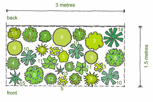 Rosy's planting plan for a Shady Border