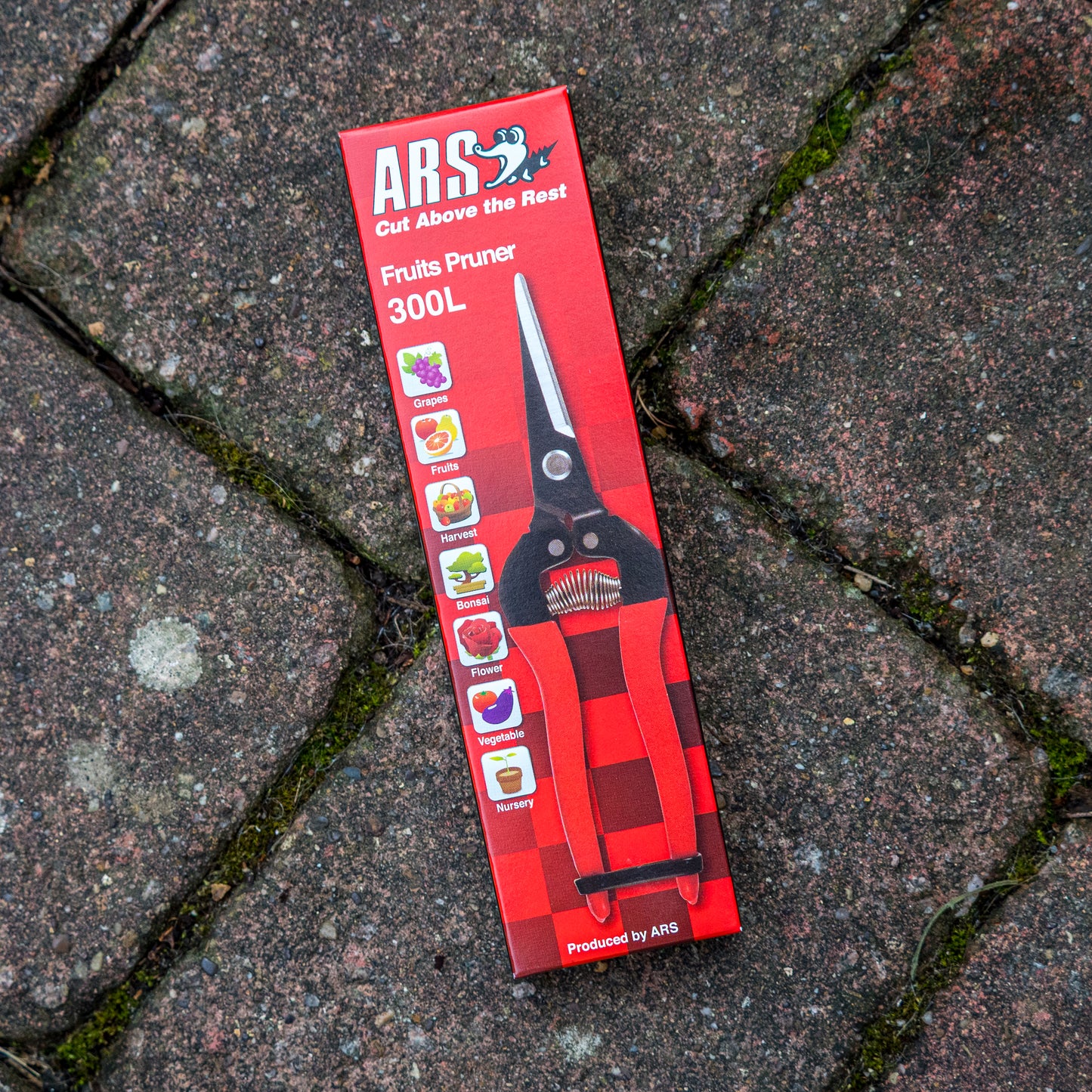POINTED FRUIT PRUNERS ARS 300L - Hardy's Cottage Garden Plants