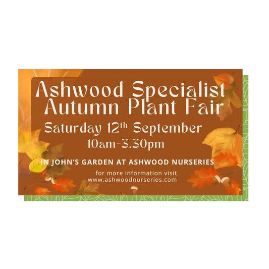 Ashwood Specialist Autumn Plant Fair