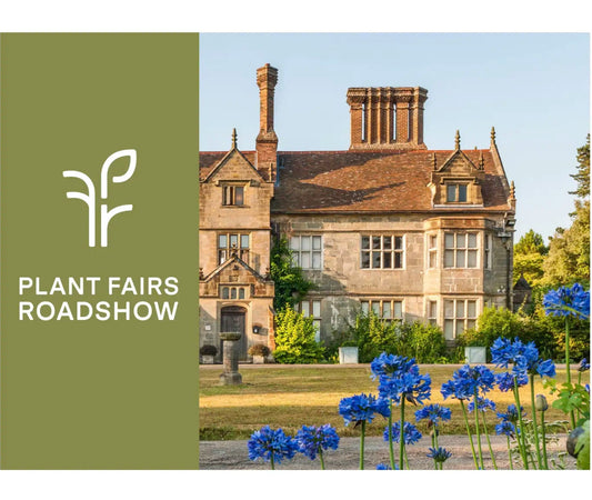 Borde Hill Specialist Autumn Plant Fair