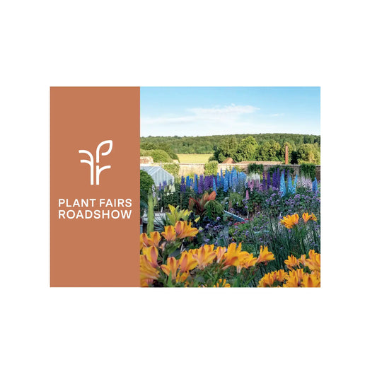 West Dean Gardens Autumn Plant Fair