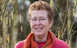 Late Autumn Flowering Perennials with Rosy Hardy 28 October 2026