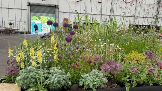 Our display at BBC Gardeners World Live 2024