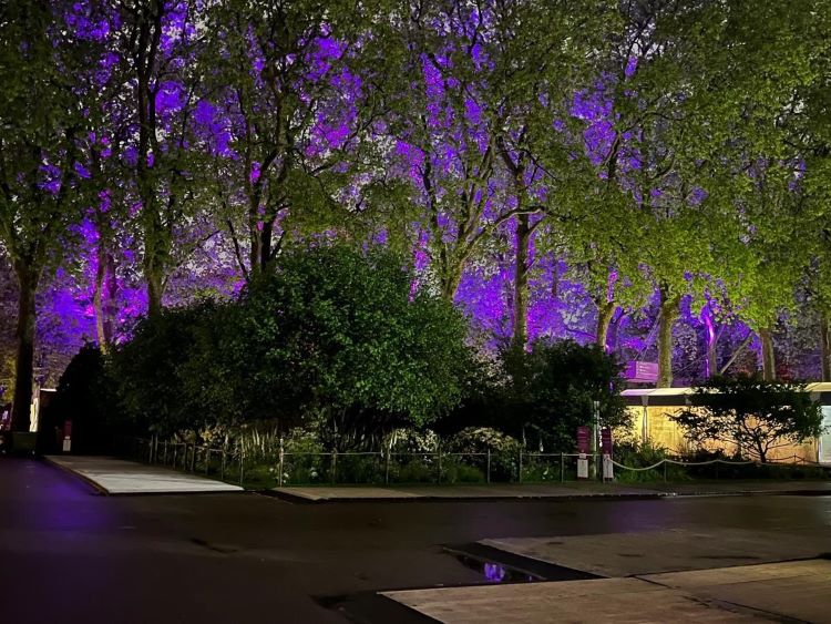 UBS RHS Chelsea 2024 at night