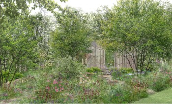 Visual The Glasshouse Garden copyright Jo Thompson Garden Design