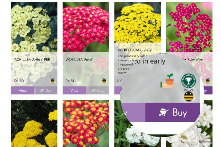 Click & Collect your Order from our Hampshire based nursery.  