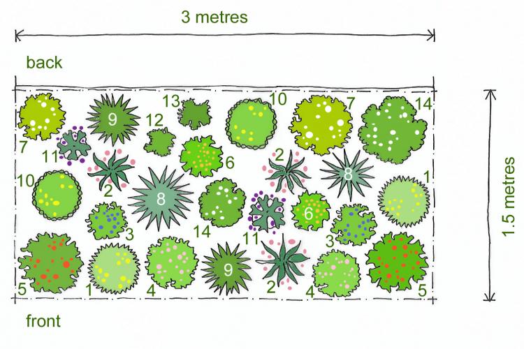 Rosy's Planting Plan for a Sunny Border 