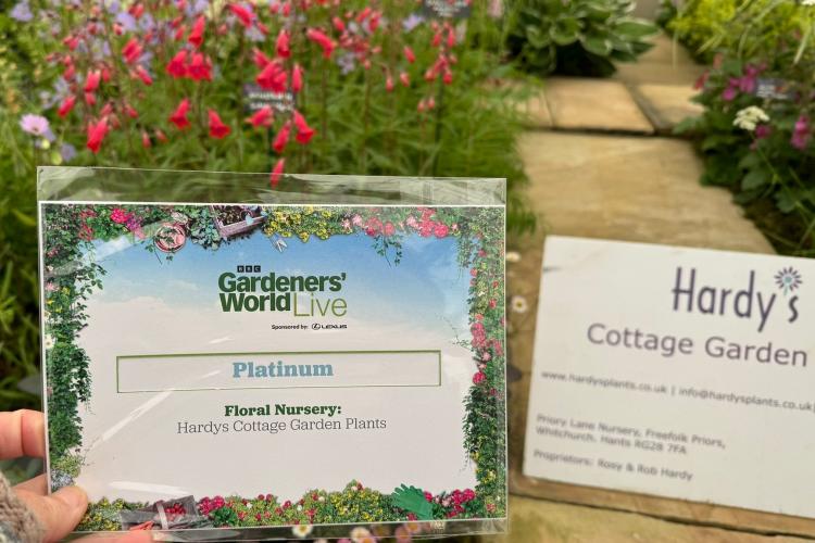 Platinum for Hardy's at BBC Gardeners World Live 2024 