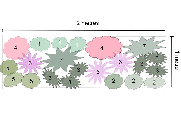 Rosy's Planting Plan for a Changeable Climate 