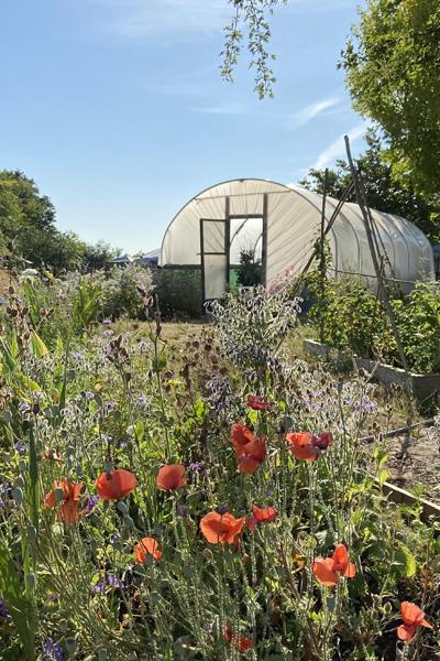 Hampshire Gardens Trust 2